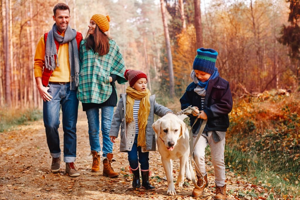 Familie mit Hund geht im Wald spazieren