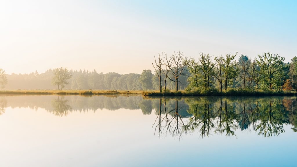 Bäume am Ufer spiegeln sich im Brombachsee